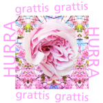 katarina lindahl, illustrator